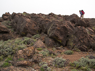 Near the summit.