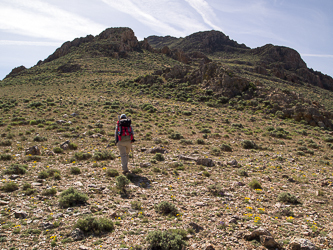 On Flagstaff Butte's NW ridge.