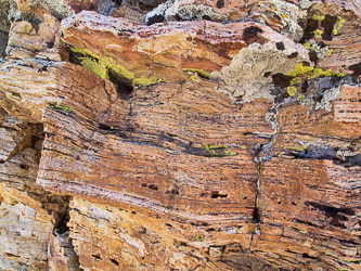 Possibly ancient rock.  According to a couple sources, including 75 Scrambles in Oregon, Flagstaff Butte's rock is some of Oregon's most ancient exposed rock.