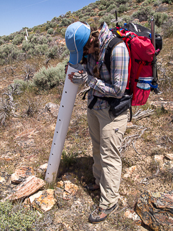 A mining claim marker.