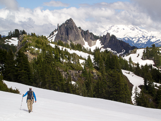 Mount Forgotten and Glacier Pk.