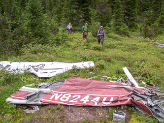 Remains from a 1967 accident.  http://www.ntsb.gov/_layouts/ntsb.aviation/brief.aspx?ev_id=16723&key=0