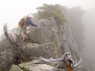 On Hardscrabble Dome's west ridge.