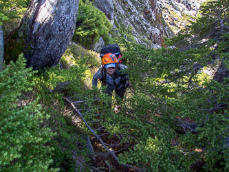 Ascending a key slot through the cliffs of Wild Goat Pk's NW side.