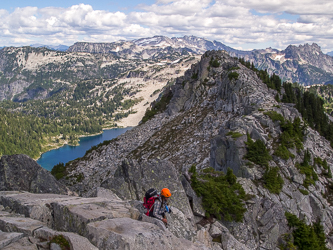 The col east of Wild Goat Pk's summit.