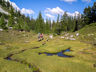 At the pass between Wild Goat Pk and Tourmaline Pk.