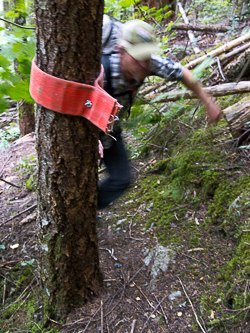 The connector trail between the Fire Training Center and the Mailbox Peak Trail was marked with segments of old fire hoses.