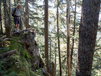 Low Mtn's SW ridge