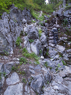 This gully provided excellent access to the 3,800' ledge above Hemlock Pass.