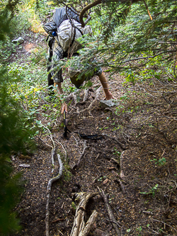 We found a faint, steep path that took us between cliffs and up onto the Snow Lake divide.