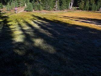 On the Linton Meadows Trail