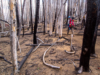 2012 Pole Creek fire