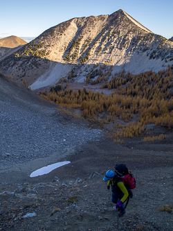 Courtney Peak