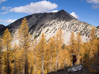 Courtney Peak