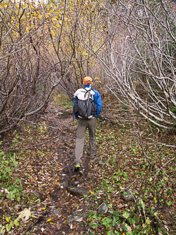 Rocky Run Trail