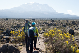 Mount Kilimanjaro from the Shira Plateau