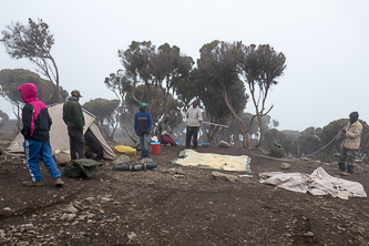 Breaking down the cooking and dining tents at Millenium Camp