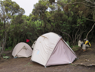 Mweka Camp