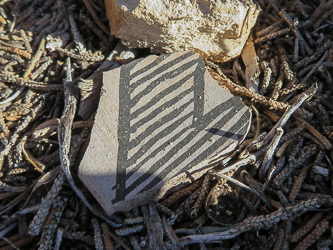 Pottery shard near a watch tower