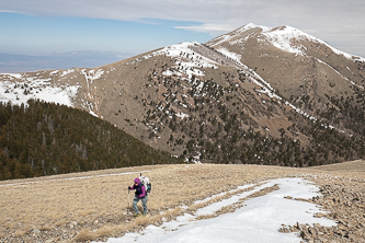 Mount Ellen