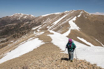 Mount Ellen and Mount Ellen South