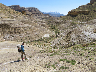 Muley Creek Canyon