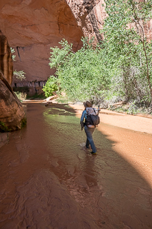 Coyote Gulch