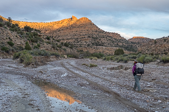 Paradise Canyon