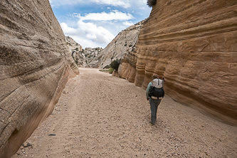 Hackberry Canyon