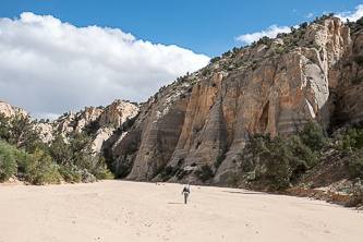 Hackberry Canyon