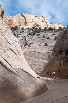 Hackberry Canyon