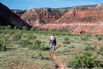 Hackberry Canyon