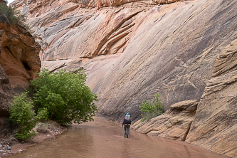 Hackberry Canyon