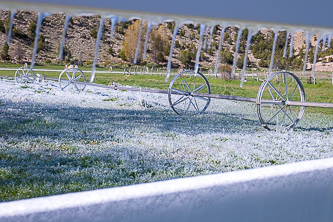 Chilly morning watering