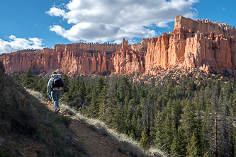 Pink Cliffs from Under the Rim Trail