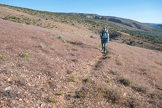 The Arizona Trail