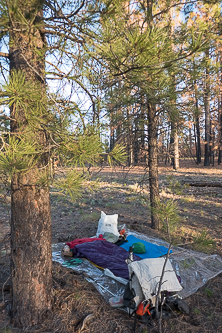 Camp near Highway 89A