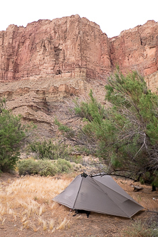 Camp on the Colorado River upstream of the Little Colorado