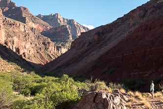 Red Canyon from Hance Rapids