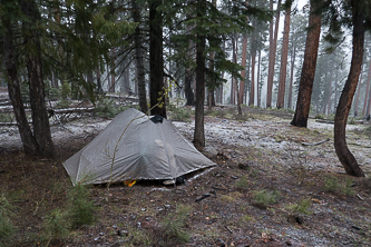 Camp on Swamp Ridge