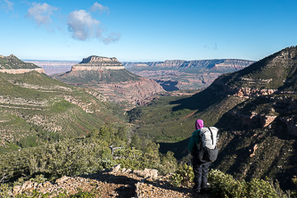 Steamboat Mountain over Saddle Canyon