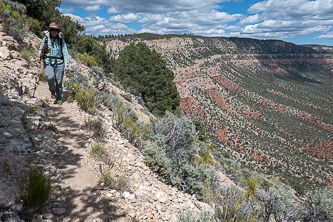 Bill Hall Trail