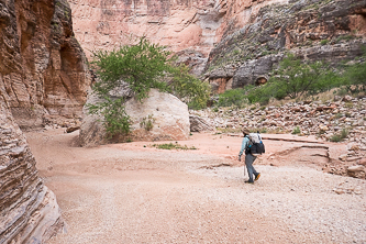 Kanab Creek dried up