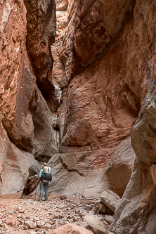 Alcove with potholes and echoing frog calls