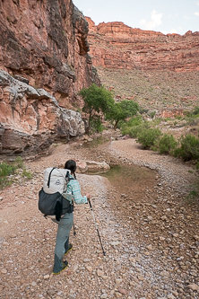 Kanab Creek started running again