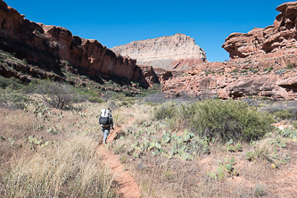 Kanab Creek canyon