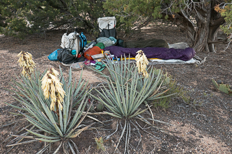 Camp near Yellowstone Spring