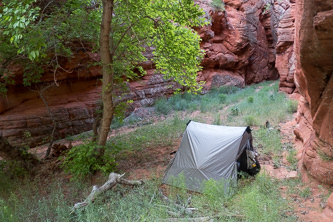 Camp near the East Fork Virgin River