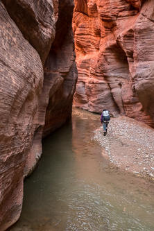 East Fork Virgin River