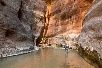 East Fork Virgin River